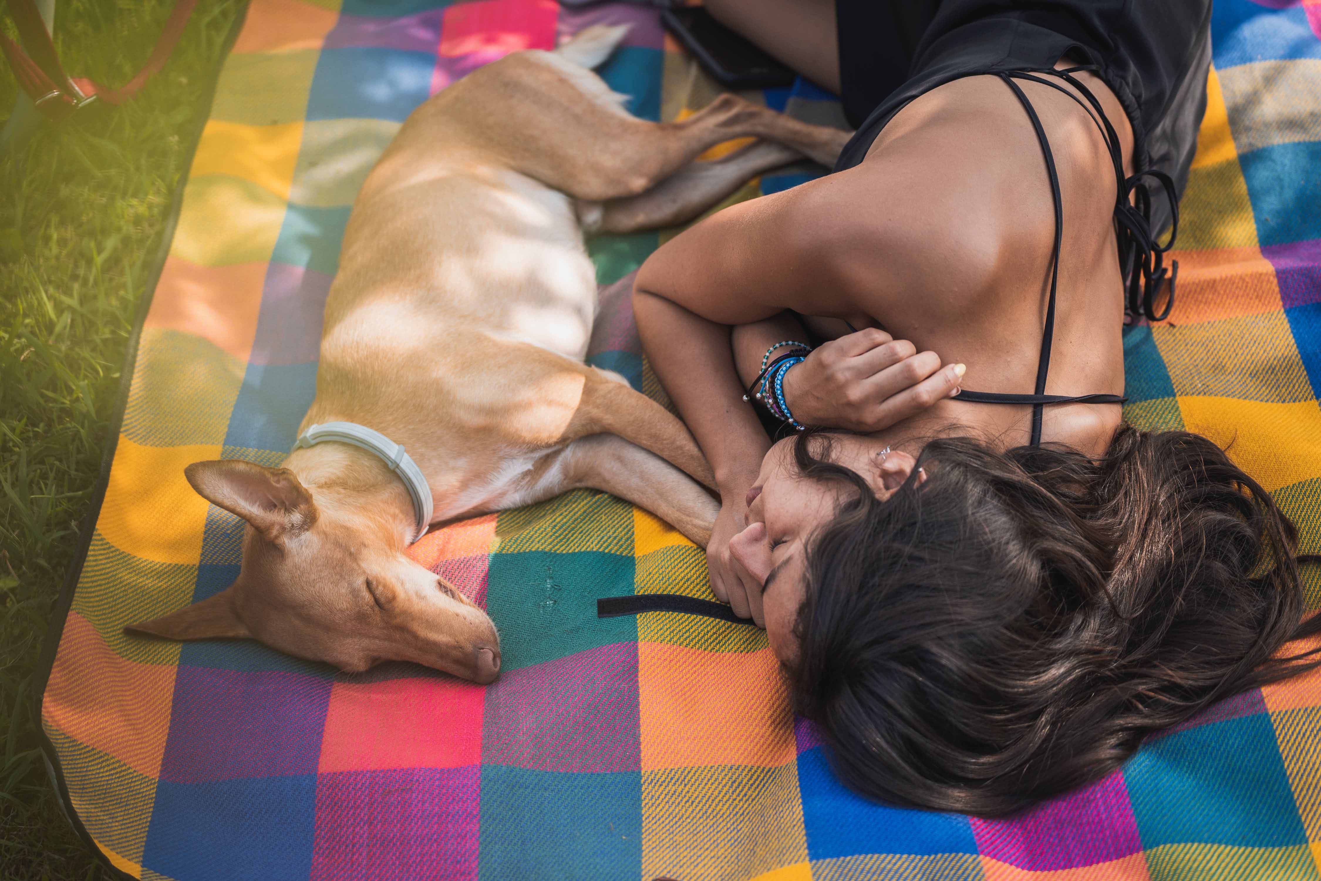 Eine Frau und ein Hund liegen auf einer Decke auf einer Wiese im Schatten und schlafen.